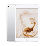 Apple iPad mini (5. Nesil)  256 GB  7.9 inç  GPS  Gümüş