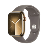 Apple Watch Series 9  Paslanmaz Çelik  45mm  Cellular  Altın