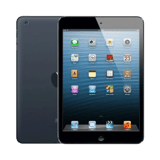 Apple iPad mini (1. Nesil)