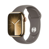 Apple Watch Series 9  Paslanmaz Çelik  41mm  Cellular  Altın