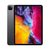 Apple iPad Pro 11" (2. Nesil) - 256 GB - 11" - GPS - Uzay Grisi