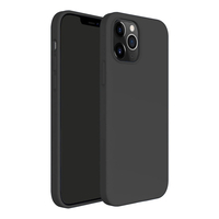 Nettech Apple iPhone 12 Pro Uyumlu Nano Arka Koruma Kılıf (Siyah) NT-83657