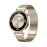 Huawei Watch GT 4 - Paslanmaz Çelik - 41mm - GPS - Altın