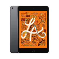 Apple iPad mini (5. Nesil) - 256 GB - 7.9 inç - GPS - Uzay Grisi