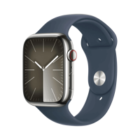 Apple Watch Series 9 - Paslanmaz Çelik - 45mm - Cellular - Gümüş
