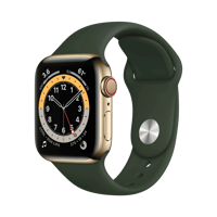 Apple Watch Series 6 - Paslanmaz Çelik - 40mm - Cellular - Altın