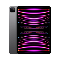 Apple iPad Pro 11" (4. Nesil) - 256 GB - 11" - GPS - Uzay Grisi
