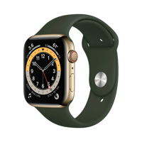 Apple Watch Series 6 - Paslanmaz Çelik - 44mm - Cellular - Altın