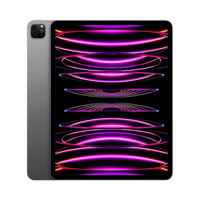 Apple iPad Pro 12.9" (6. Nesil) - 256 GB - 12.9" - GPS - Uzay Grisi