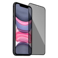 Nettech Apple iPhone XS Max Uyumlu Ön Koruma Hayalet Seramik Nano Ekran Koruyucu (Siyah) NT-95543