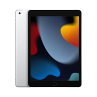 Apple iPad (9. Nesil) - 256 GB - 10.2 İnç - Cellular - Gümüş