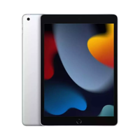 Apple iPad (9. Nesil) - 256 GB - 10.2 İnç - GPS - Gümüş