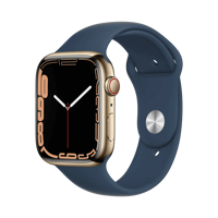 Apple Watch Series 7 - Paslanmaz Çelik - 45mm - Cellular - Altın