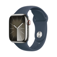 Apple Watch Series 9  Paslanmaz Çelik  41mm  Cellular  Gümüş