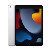 Apple iPad (9. Nesil)  256 GB  10.2 İnç  GPS  Gümüş