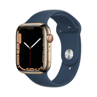 Apple Watch Series 7  Paslanmaz Çelik  45mm  Cellular  Altın