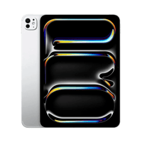 Apple iPad Pro 11"  2 TB  11"  Cellular  Gümüş