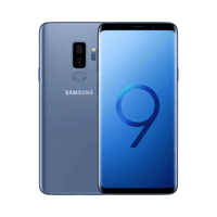 Samsung Galaxy S9 Plus  128 GB  Mercan Mavisi