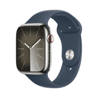 Apple Watch Series 9  Paslanmaz Çelik  45mm  Cellular  Gümüş