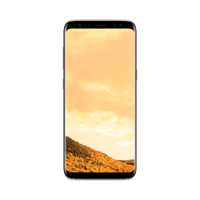 Samsung Galaxy S8 Plus  64 GB  Altın
