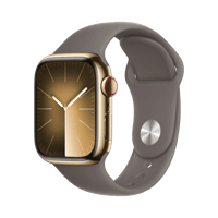 Apple Watch Series 9  Paslanmaz Çelik  41mm  Cellular  Altın