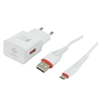 Arbaks ARB013 10W 3000 mAh Micro Kablo + Şarj Aleti (Beyaz) NT87226