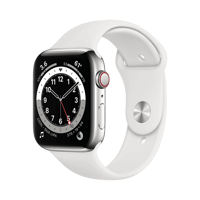 Apple Watch Series 6  Paslanmaz Çelik  44mm  Cellular  Gümüş