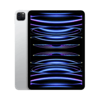 Apple iPad Pro 11" (4. Nesil)  512 GB  11"  Cellular  Gümüş