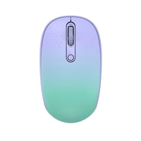 FD E370 Bluetooth Mouse (Gökkuşağı) NT105024
