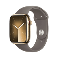 Apple Watch Series 9  Paslanmaz Çelik  45mm  Cellular  Altın