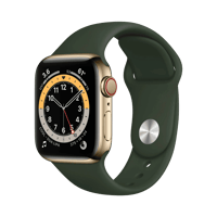 Apple Watch Series 6  Paslanmaz Çelik  40mm  Cellular  Altın