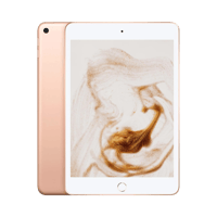 Apple iPad mini (5. Nesil)  256 GB  7.9 inç  GPS  Altın