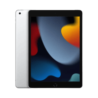 Apple iPad (9. Nesil)  256 GB  10.2 İnç  Cellular  Gümüş