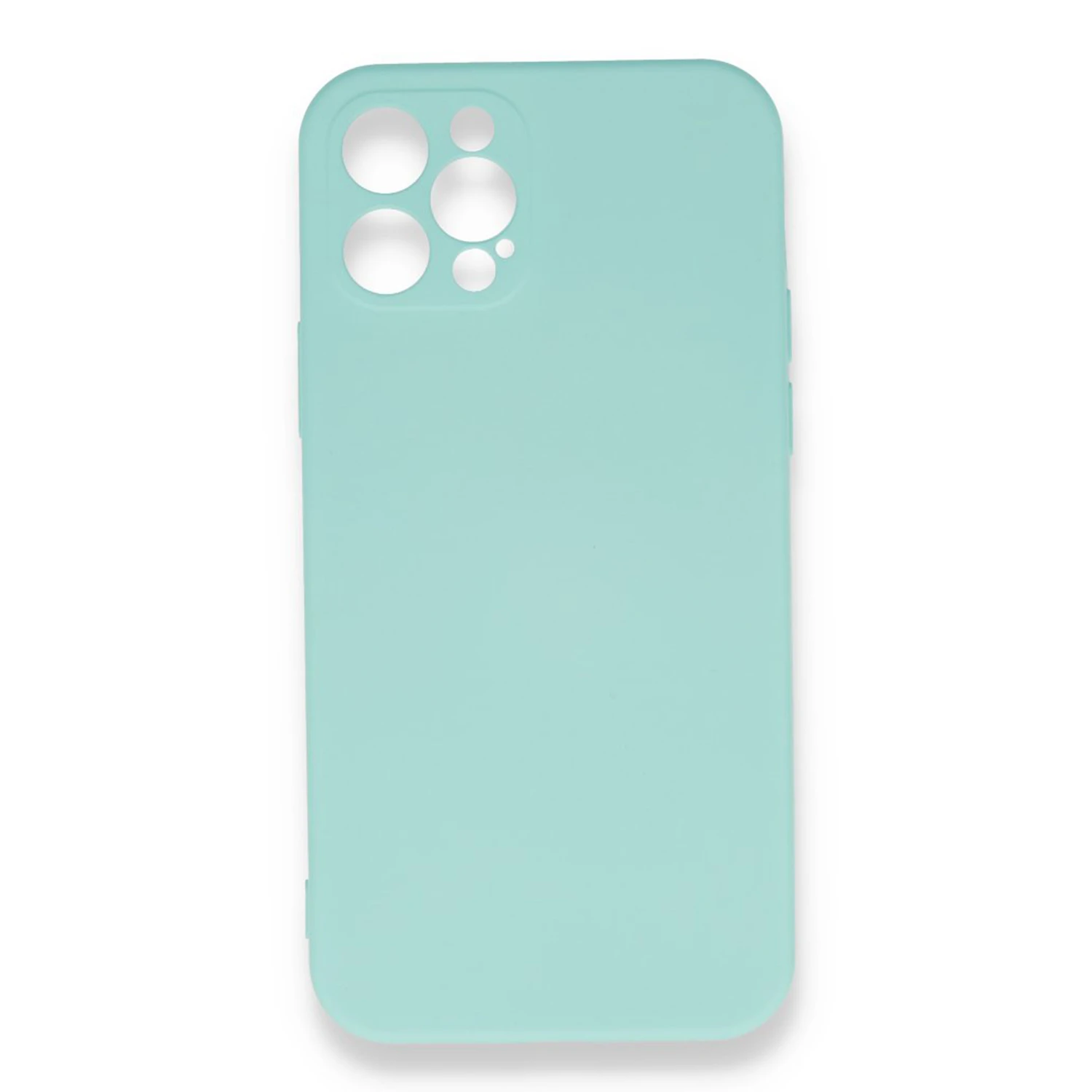 Nettech Apple iPhone 12 Pro Uyumlu Nano Arka Koruma Kılıf (Turkuaz) NT-87247