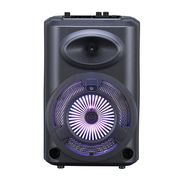 Zore GD-903 Dijital LED Göstergeli FM Radyolu Mikrofonlu RGB TWS 8 inç Stereo Bass Kablosuz Karaoke Hoparlör - Siyah - 1