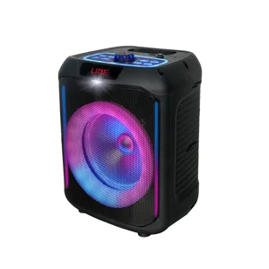 Zore GD-907 Dijital LED Göstergeli FM Radyolu Mikrofonlu RGB TWS 8 inç Stereo Bass Kablosuz Karaoke Hoparlör - Siyah