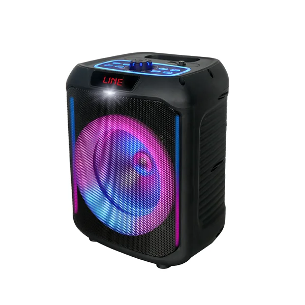 Zore GD-907 Dijital LED Göstergeli FM Radyolu Mikrofonlu RGB TWS 8 inç Stereo Bass Kablosuz Karaoke Hoparlör - Siyah - 1