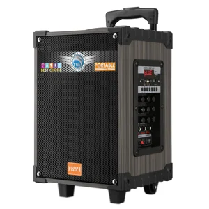 Zore LT-908 Dijital LED Göstergeli FM Radyolu Mikrofonlu TWS 8 inç Stereo Bass Kablosuz Karaoke Hoparlör - Siyah