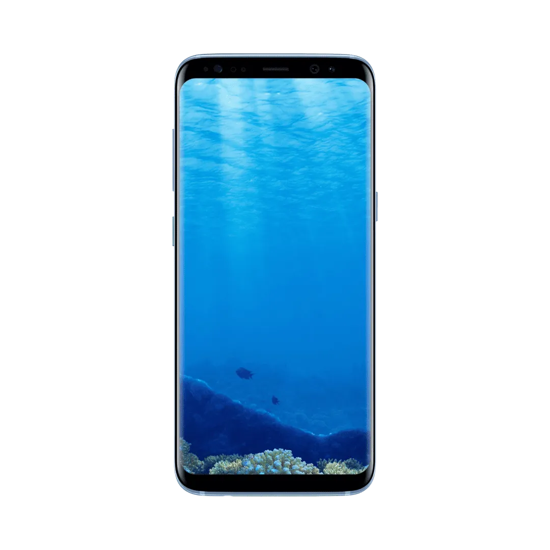 Samsung Galaxy S8 Plus Mavi 64 GB