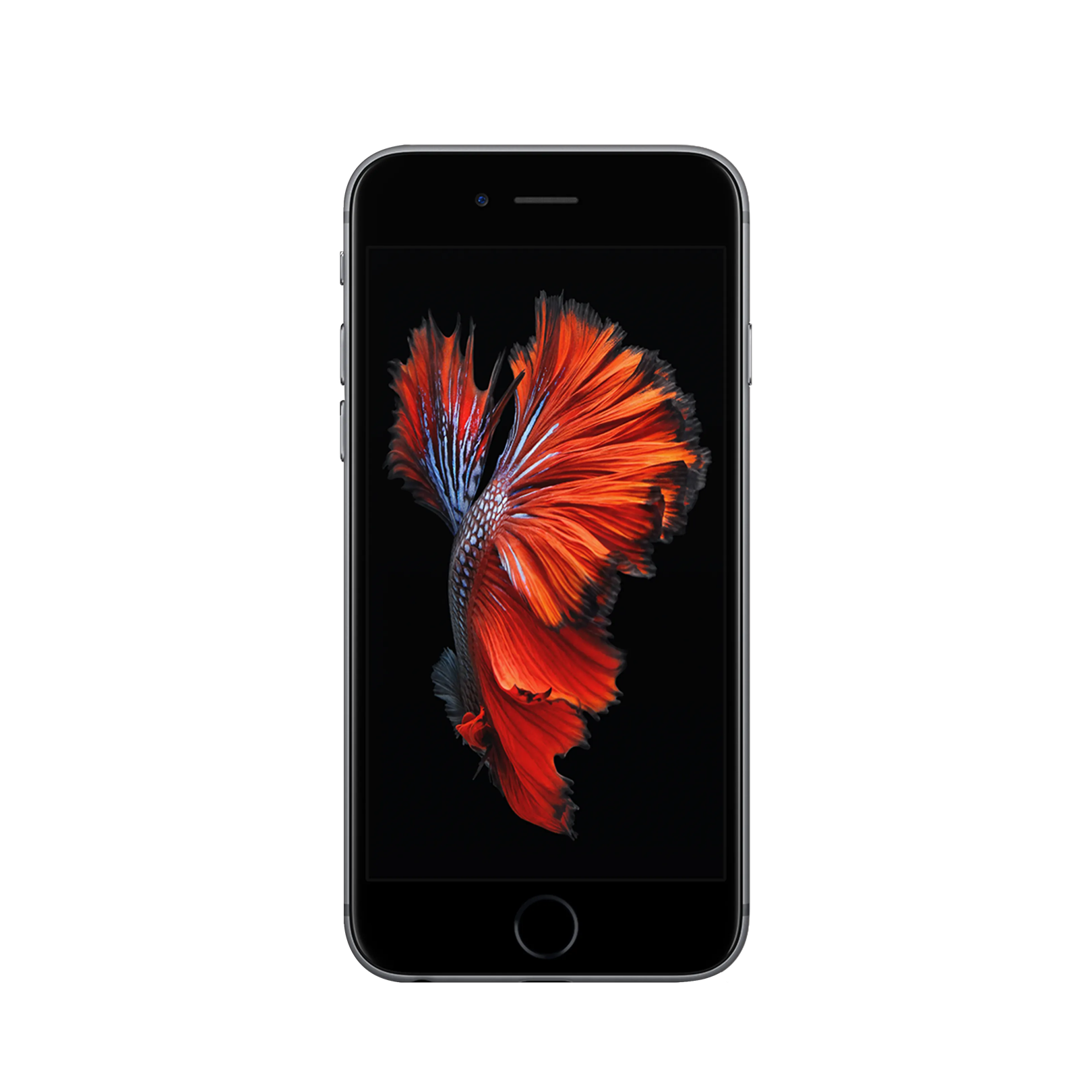 Apple iPhone 6S - 32 GB - Uzay Grisi