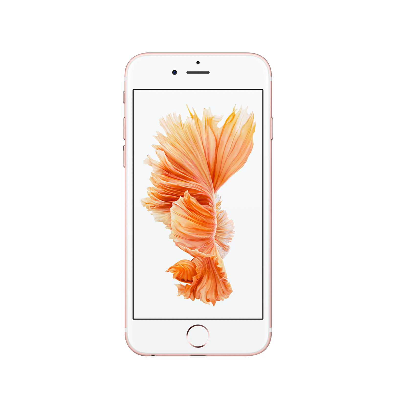 Apple iPhone 6S Plus - 64 GB - Gül Altın