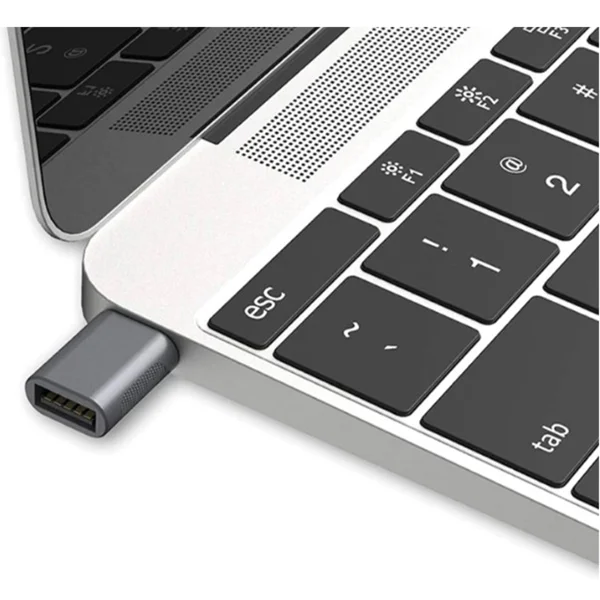 Nettech NT-OT07 Type-C To USB Dönüştürücü (Siyah) NT-100959 - 2