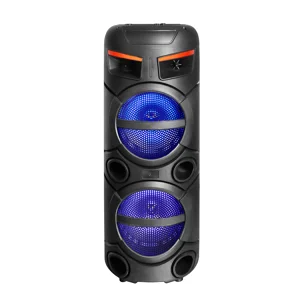 Zore GD-2809 Dijital LED Göstergeli FM Radyolu Mikrofonlu RGB TWS Çift 8 inç Stereo Bass Kablosuz Karaoke Hoparlör - Siyah