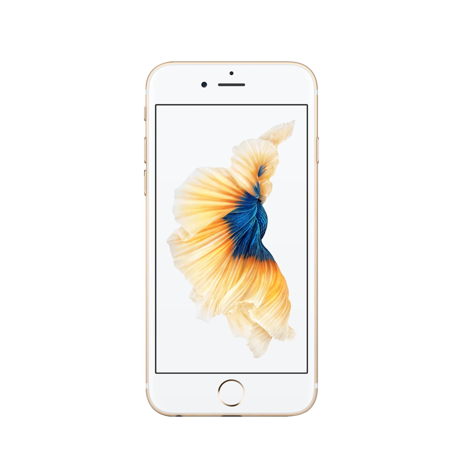 Apple iPhone 6S Plus - 16 GB - Altın Apple iPhone 6S Plus - 16 GB - Altın