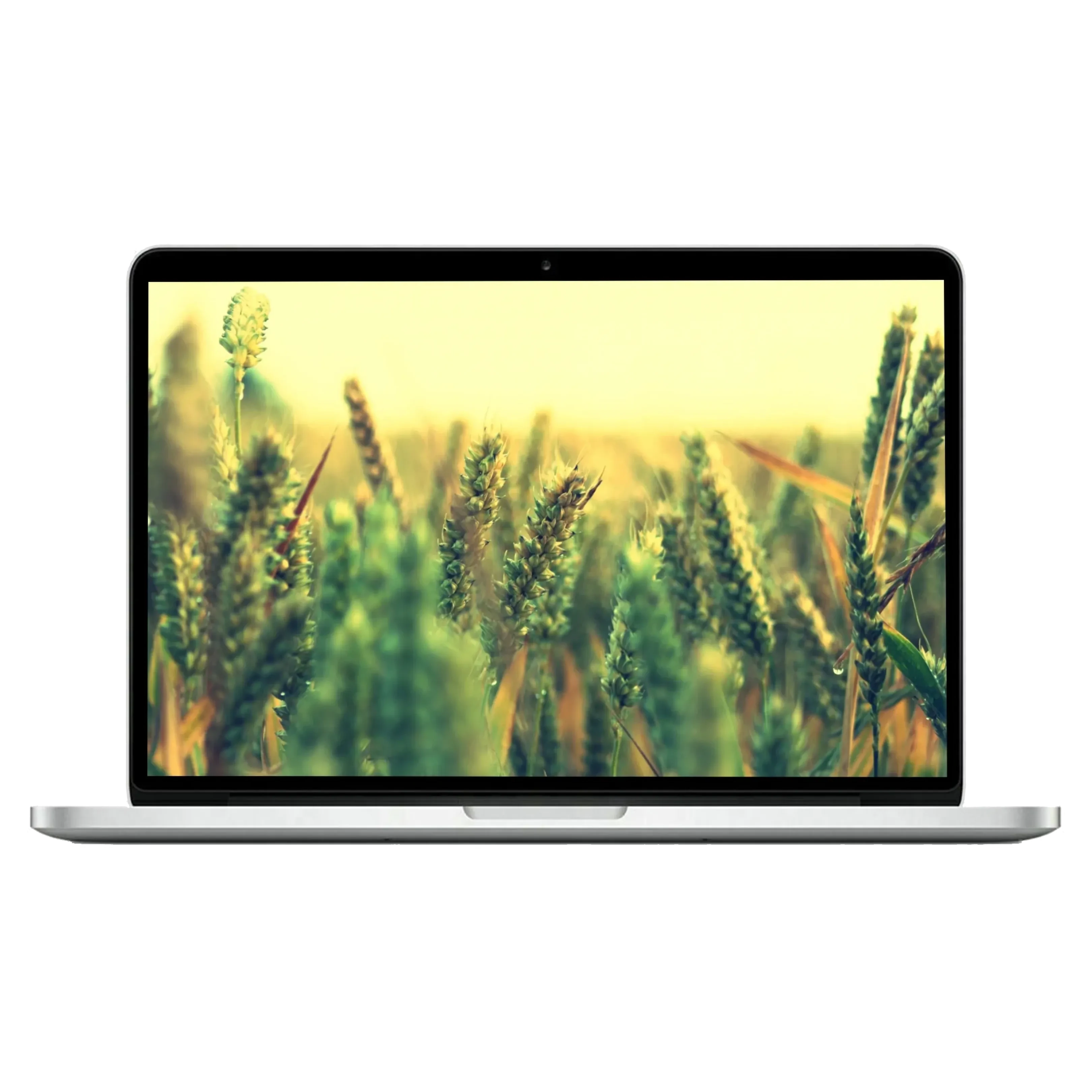 Apple MacBook Pro 15" Retina (15-inch Early 2013) - 2.4 GHz / 2.7 GHz/ 2.8 GHz Core i7 - 16 GB - 512 GB - Gümüş