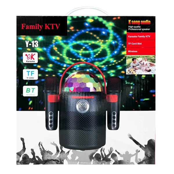 Nettech Y-13 Karaoke Box Kablosuz Hoparlör - Speaker (Çeşitli Renk) NT-108802 - 5