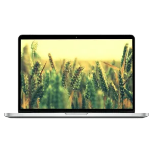 Apple MacBook Pro 15" Retina (15-inch Early 2013) - 2.4 GHz / 2.7 GHz/ 2.8 GHz Core i7 - 16 GB - 256 GB - Gümüş