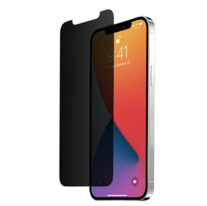 Nettech Apple iPhone 12 Pro Max Uyumlu Ön Koruma Hayalet Seramik Nano Ekran Koruyucu (Siyah) NT-95545